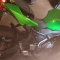 Kawasaki z650 anno 2018